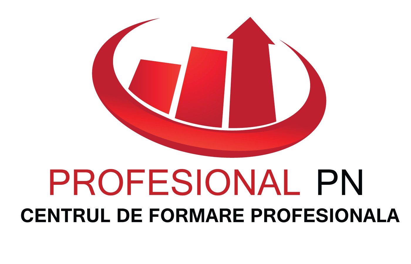 Profesional PN